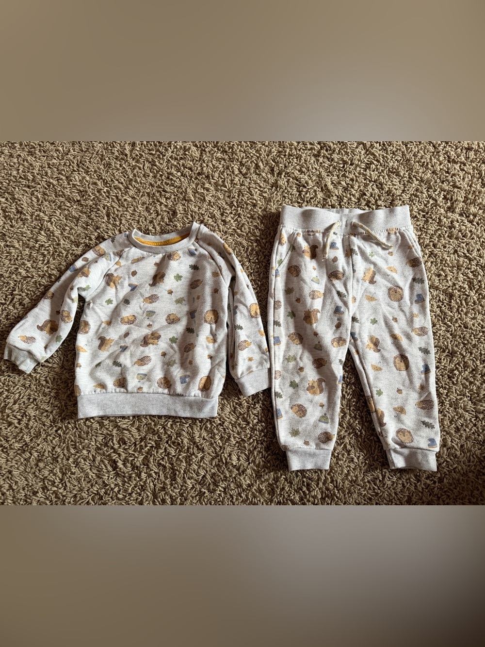 Primark Toddler Sweatshirt & Jogger Set 18โ24 Months โ Woodland Animals